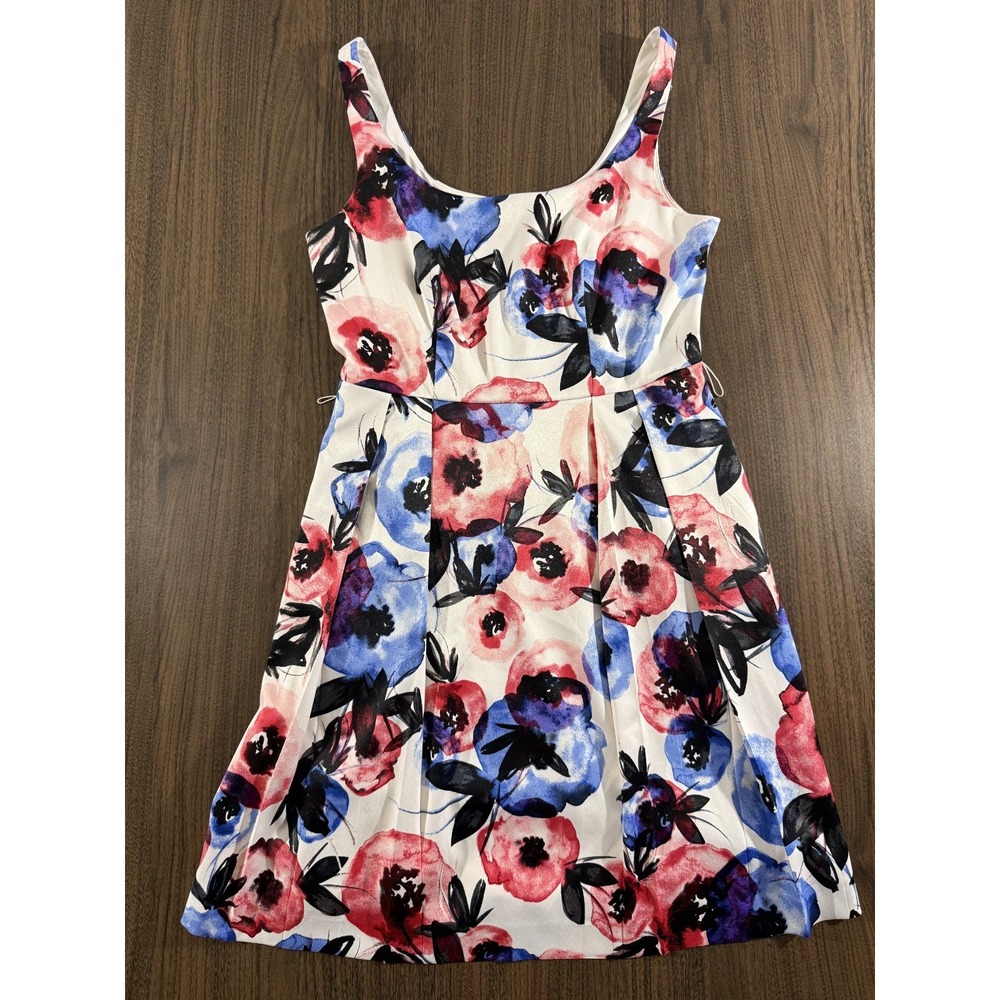 Luxe By Carmen Marc Valvo Women's Floral Dress Size 4 Blue Pink Pleated